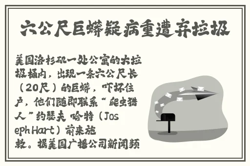 色九九在线视频精品9999
